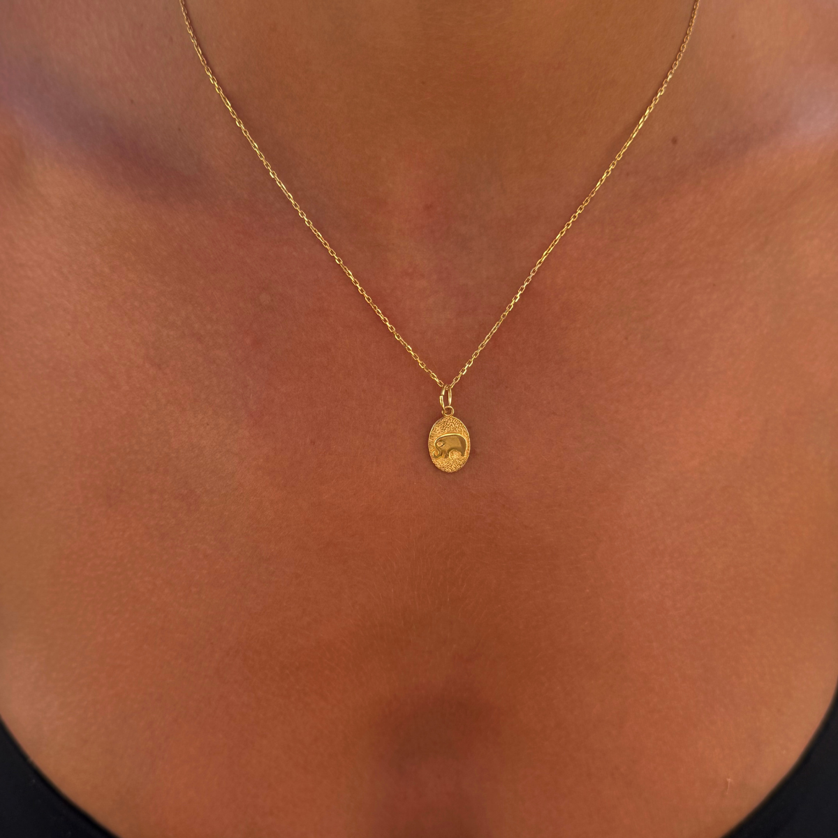 925 Gümüş | Fil Şans Kolye